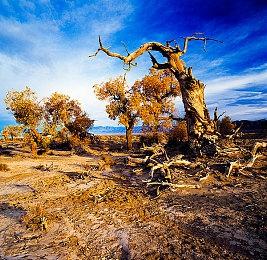 《最终幻想16》将没有续作或衍生作