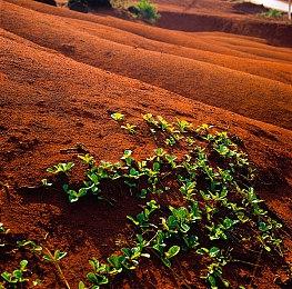 《艾诺提亚：失落之歌》最新资讯公开：意大利类魂动作游戏的制作团队